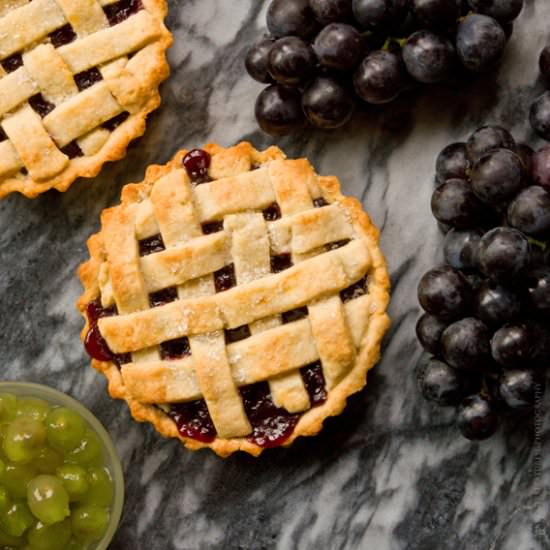 Concord Grape Tart - Recipe photo by lostrecipesfound