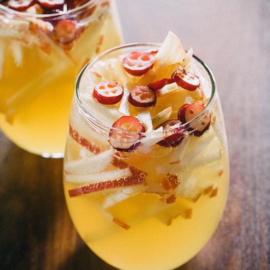 sparkling apple cider sangria - Recipe photo by gardenbetty