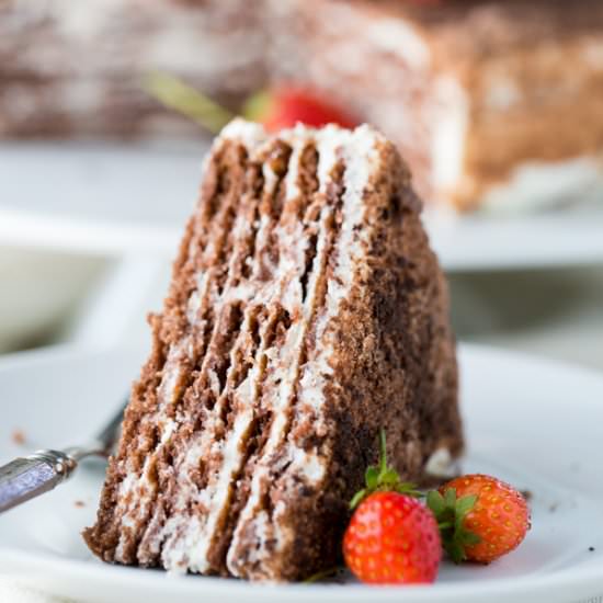 Chocolate Spartak Cake - Recipe photo by NatashasKitchen.com