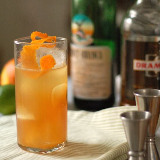 Kingston Club Cocktail - Recipe photo by blossomtostem