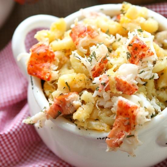 Lobster mac & cheese - Recipe photo by Amy in the Kitchen