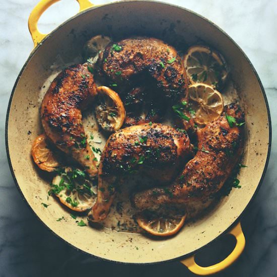 Chicken with Savory Yogurt Sauce - Recipe photo by FeedMeDearly