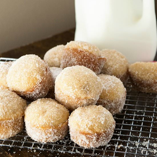 Applesauce Donut Muffins - Recipe photo by Karly