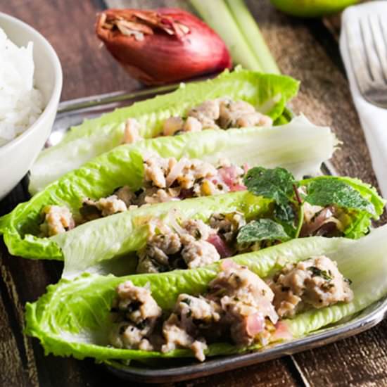 Thai Chicken Salad – Larb Gai - Recipe photo by platingsandpairings