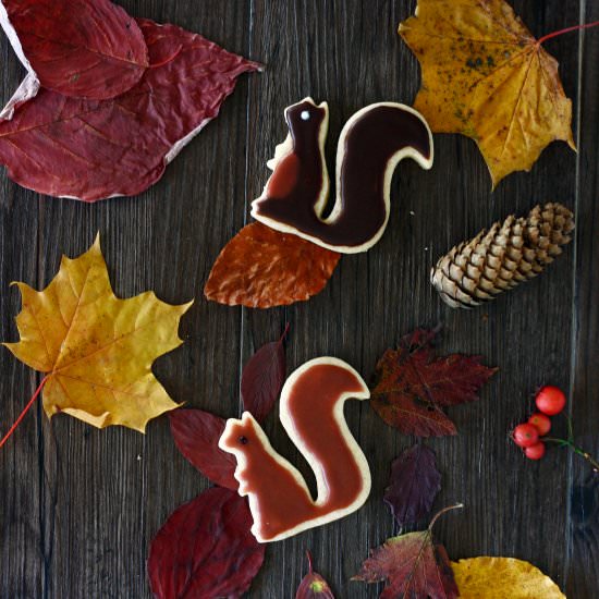 Squirrel Cookies - Recipe photo by transglobalpanparty