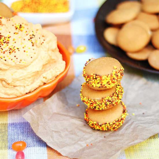 Whipped Pumpkin Dip - Recipe photo by Mighty Mrs