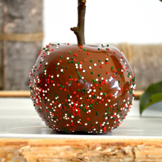 Candied Chocolate covered Apples - Recipe photo by bakerangel.com