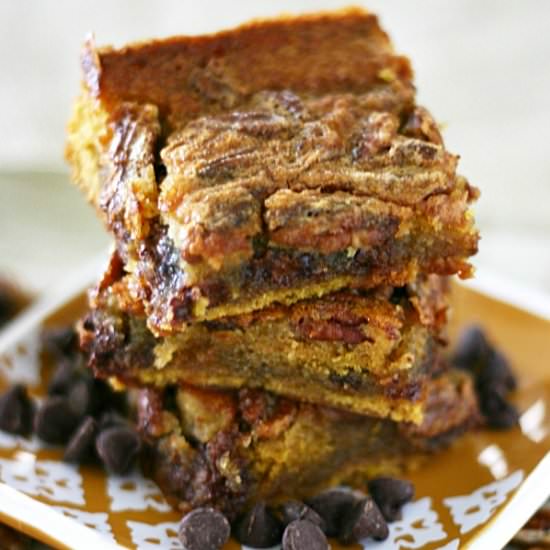 Chocolate Chip Pecan Pumpkin Bars - Recipe photo by yummycrumble