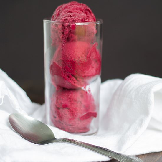 Concord Grape Sorbet - Recipe photo by mmirnanda