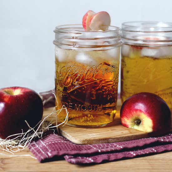 Cinnamon Hard Cider - Recipe photo by vermodern