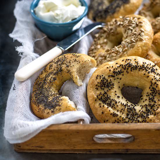 Homemade Bagels - Recipe photo by supergoldenbakes