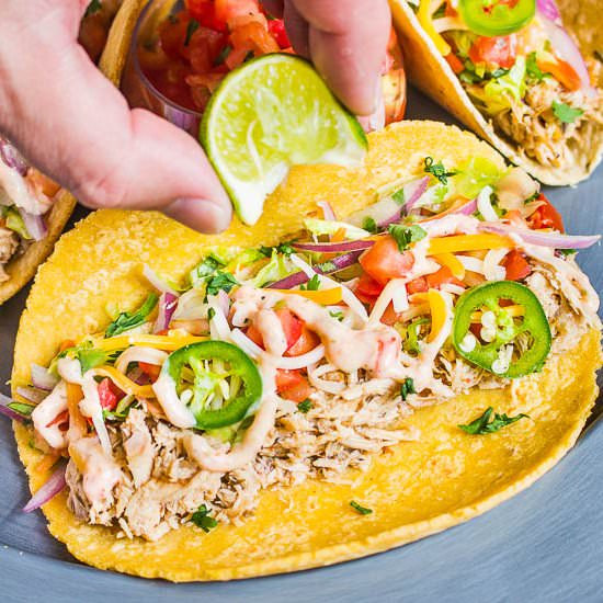 Beer Braised Baja Chicken Tacos - Recipe photo by No Spoon Necessary