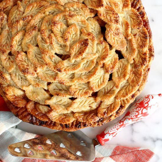 Apple Cheddar Pie - Recipe photo by beckysuebakes