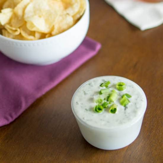 Vegan Sour Cream and Onion Dip - Recipe photo by The Salty Tomato LC