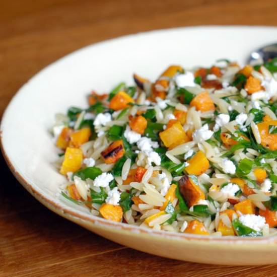 Orzo with Squash & Blue Cheese - Recipe photo by Circle B Kitchen