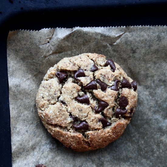 Grain-Free Chocolate Chip Cookies - Recipe photo by bluelij
