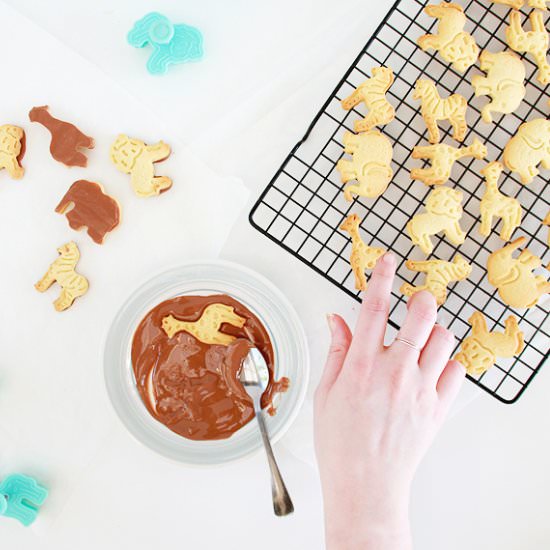 Animal Crackers - Recipe photo by highwalls