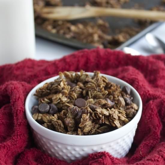 Chocolate Gingerbread Granola - Recipe photo by thealmondeater