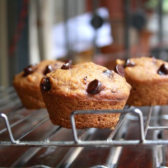 Pumpkin Chocolate Chip Muffins - Recipe photo by The Desserted Girl