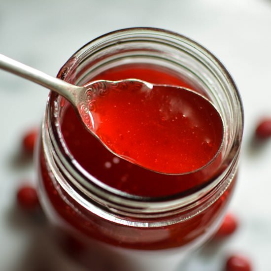 Cranberry Shrub (Drinking Vinegar) - Recipe photo by SprinkledWithJules