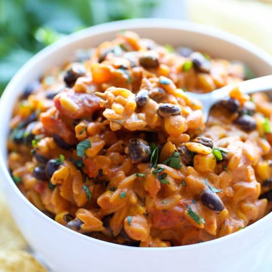 Slow Cooker Enchilada Orzo - Recipe photo by damndelicious