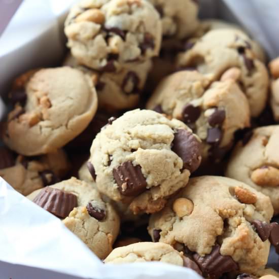 Triple-Peanut and Chocolate Cookies - Recipe photo by littlebroken