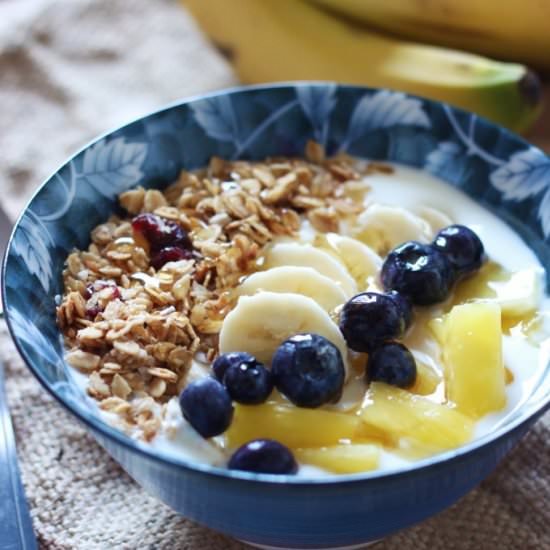 Greek Yogurt and Fruit Energy Bowl - Recipe photo by thetastybite