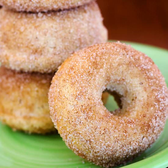 Baked Cinnamon Sugar Donuts - Recipe photo by OrgasmicChef