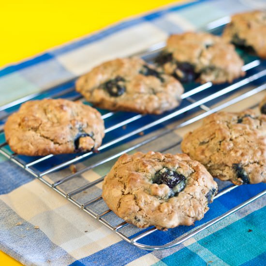 Oat & Blueberry Cookies -low fodmap - Recipe photo by Suzanneper