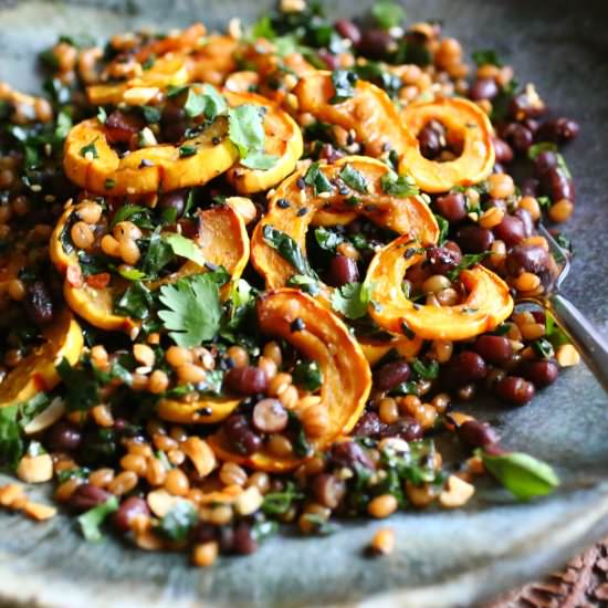 Wheat Berries & Roasted Delicata - Recipe photo by Petit World Citizen