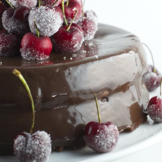 Spectacular Chocolate Cake - Recipe photo by tiffanybendayan