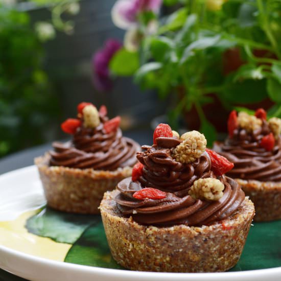 Raw Goji-& Mulberry Cupcakes - Recipe photo by 2women2cats