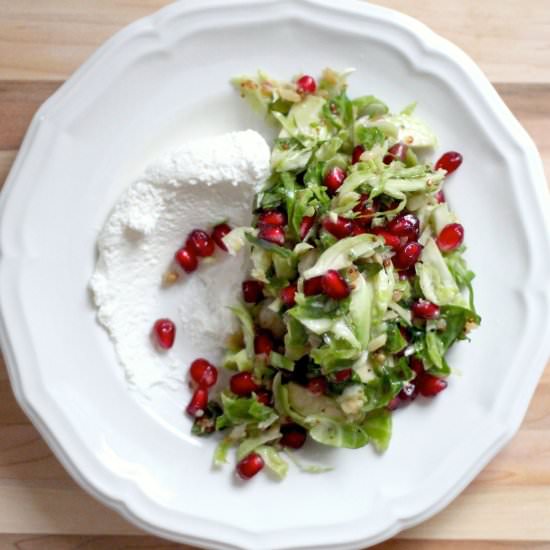 Holiday Brussels Sprout Salad - Recipe photo by jenessasdinners