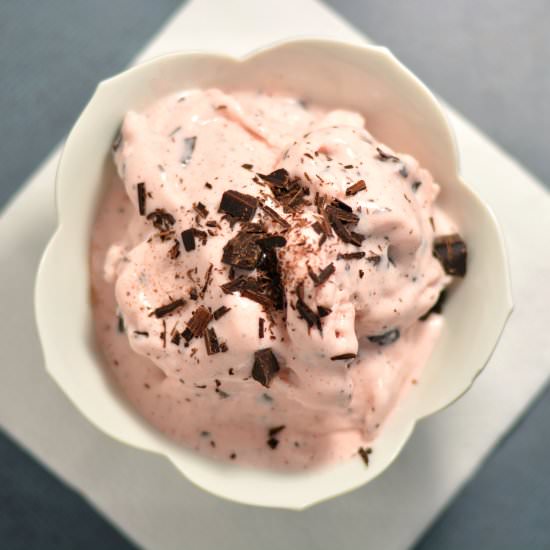 Peppermint Chip Ice Cream - Recipe photo by BrianaThomas