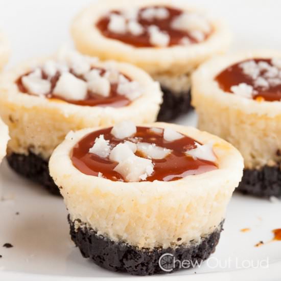 Salted Caramel Cheesecake Bites - Recipe photo by chewoutloud