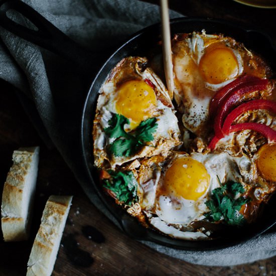 Eggs Fried with Tomatoes - Recipe photo by what should i eat for breakfast today