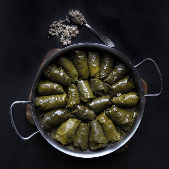 Dolmades with Vine Leaves and Mince - Recipe photo by MeLia