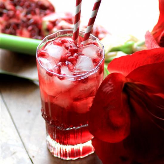 Southern Pomegranate Sparkler - Recipe photo by noshingwiththenolands