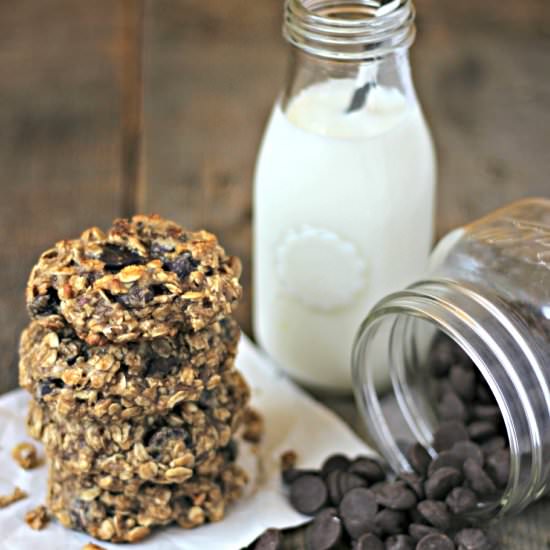 Dark Chocolate Oat Cookies - Recipe photo by the_gourmet_RD