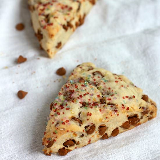 Cinnamon Scones - Recipe photo by joyful scribblings