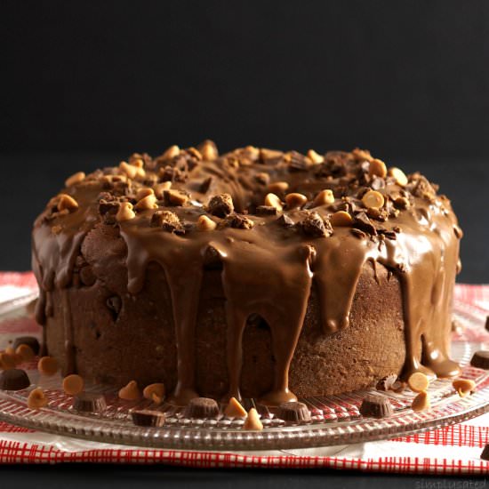 Peanut Butter Cup Chocolate Cake - Recipe photo by simply sated