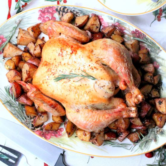 Wonderful Roasted Whole Turkey - Recipe photo by HowToFeedaLoon