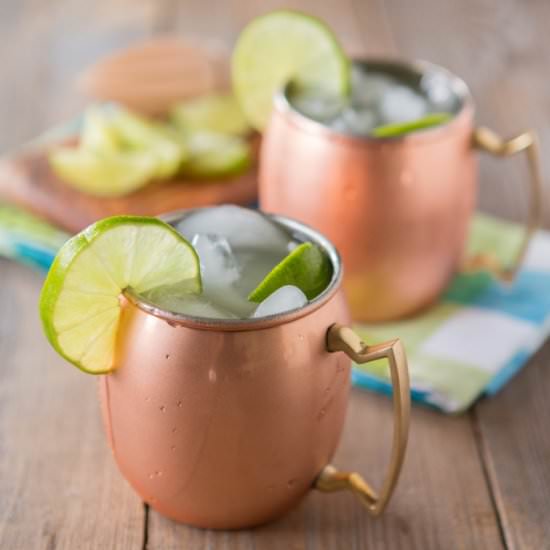 Harvest Moscow Mule - Recipe photo by PrimalPalate