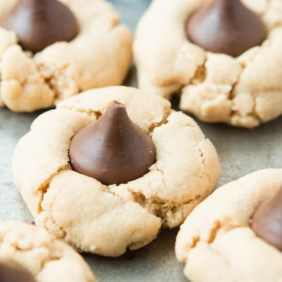 Peanut Butter Blossoms - Recipe photo by sweetbasil