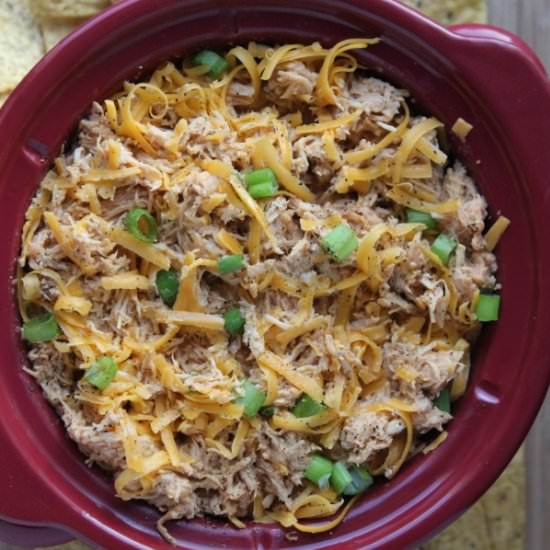 Crockpot Buffalo Chicken Dip - Recipe photo by simplegreenmoms