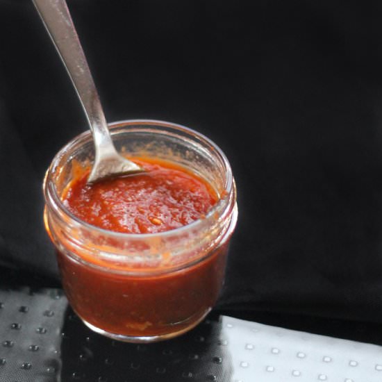Paleo Fresh Tomato Ketchup - Recipe photo by The Primal Desire
