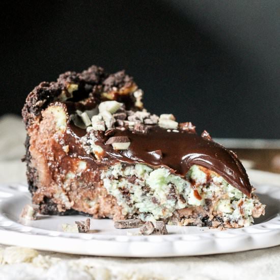 Mint Chocolate Chip Cheesecake - Recipe photo by bakerita