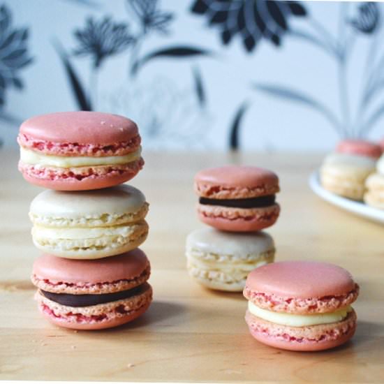 Macarons - Recipe photo by 2women2cats