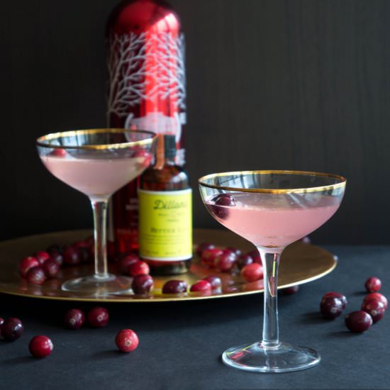 Fresh Cranberry Cosmo - Recipe photo by Malgosia