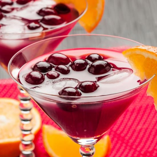 Madras Cranberry Orange Cocktail - Recipe photo by chewoutloud
